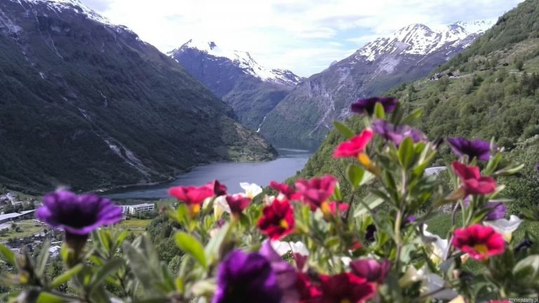 Fiord w Norwegii